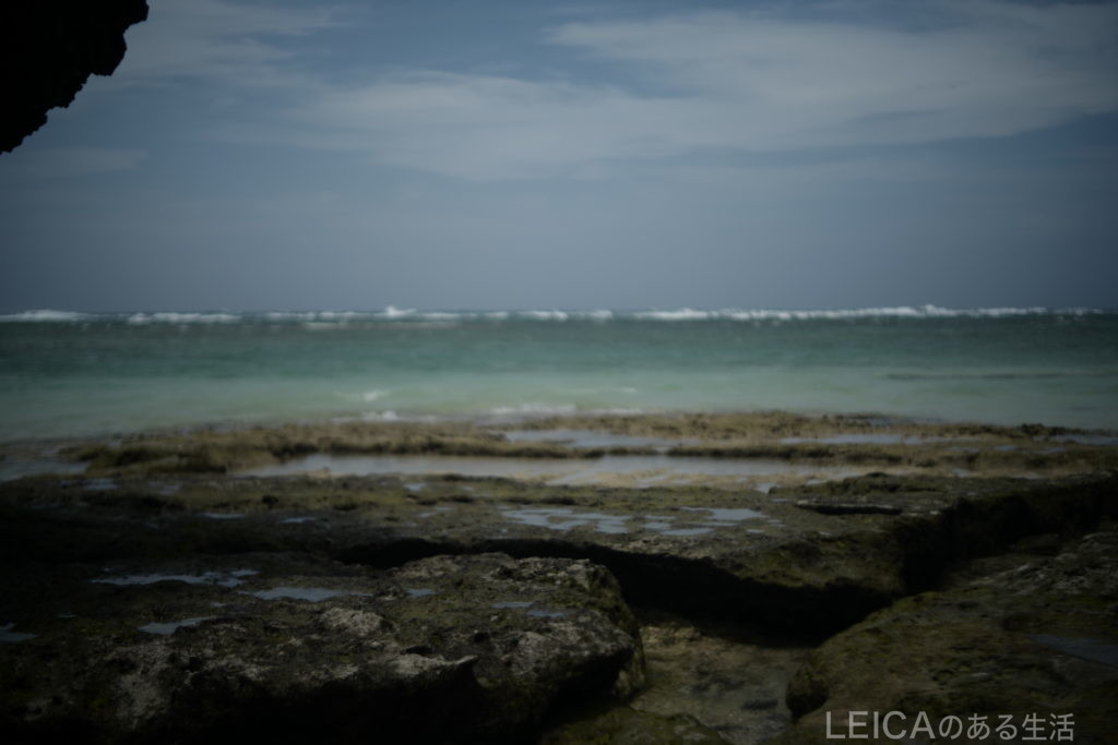 Leica SL　+　Summar L50mm F2