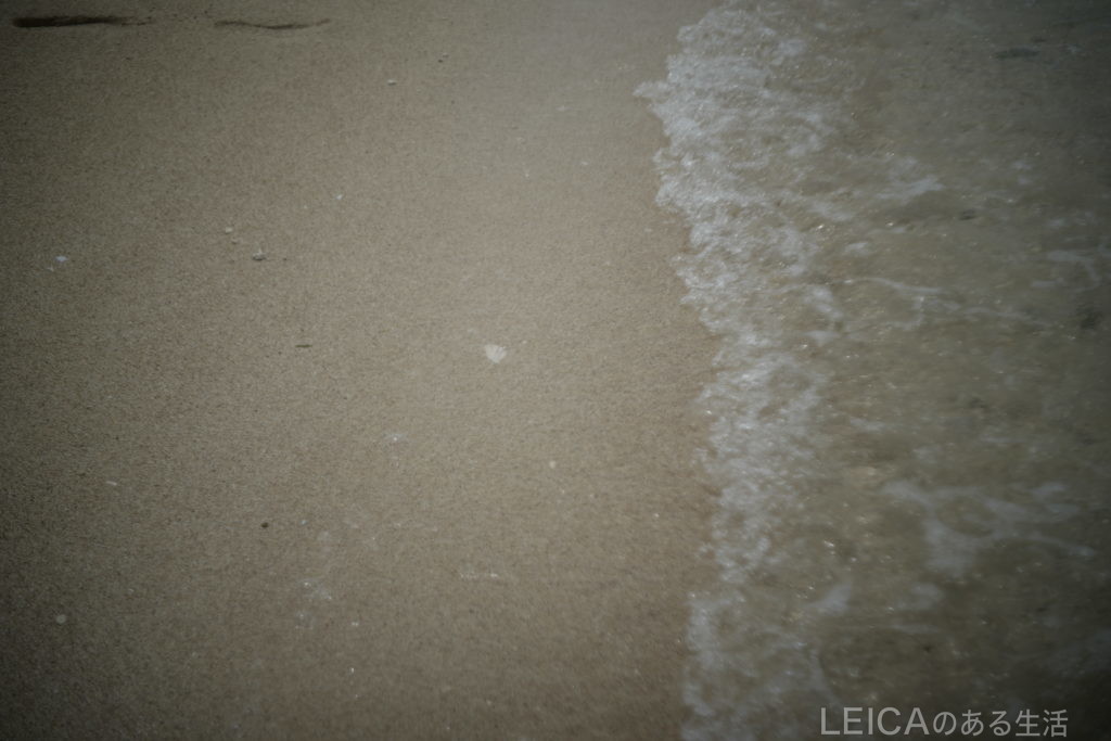Leica SL　+　Summar L50mm F2